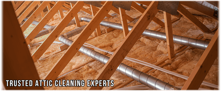 Attic Cleaning Boca Raton